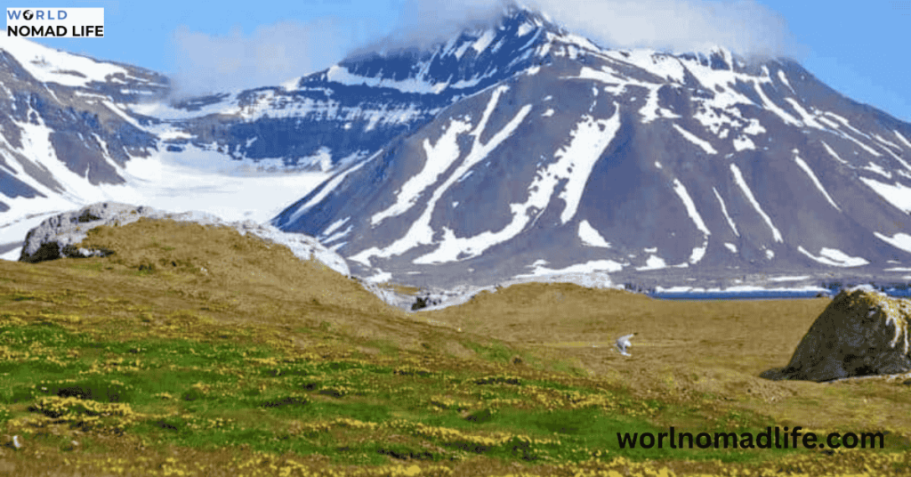Best Guide to Northern lights Svalbard