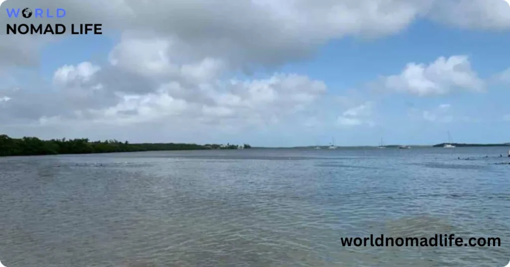 Florida From the Shore