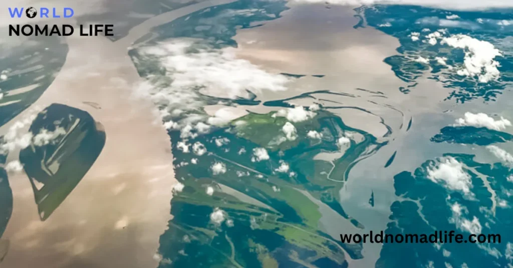 How to visit the Amazon rainforest in Brazil