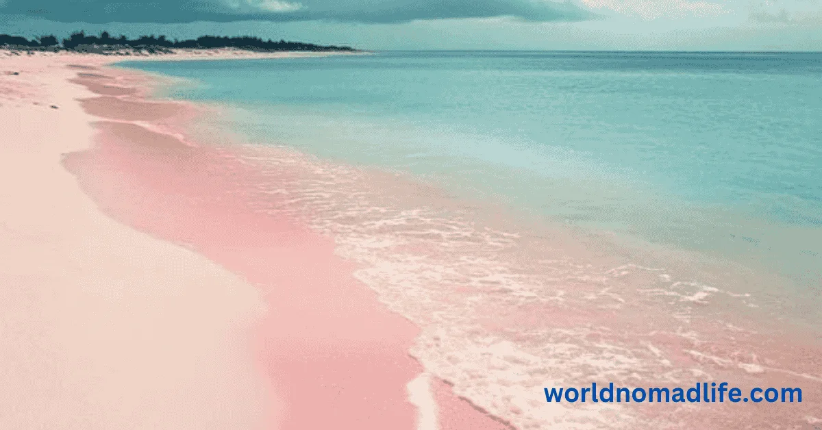 Pink Sand Clearwater Beach Florida