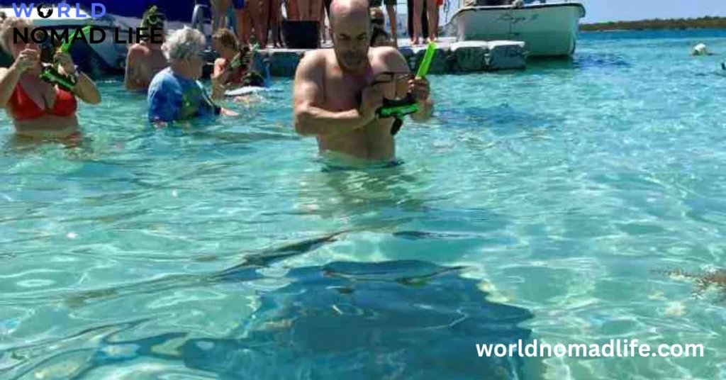 Stingrays At Stingray City