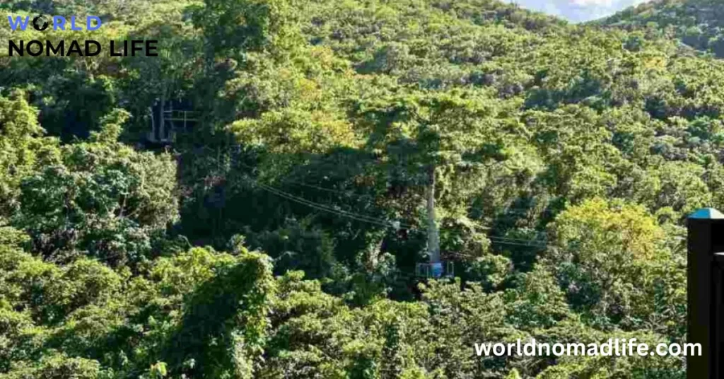 Airy Zipline Tours