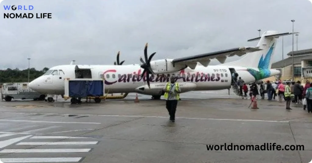 Flights and Transportation Options